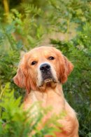 577ae3e865f33835b2894e6170e43e2d_130x195