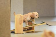 57b587c6253db8425da8553d8313797a_195