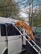 581dfc6400c695029cd0904f4109ed38_138x184_fill