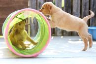 5863753324fe7f5ace19f63ded29cb98_195