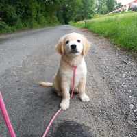 5865d847a4399c2fffe1d57c16caa73f_200x200_fill