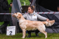 5888e8dafeadee5bee936beacd7d86e6_195