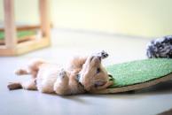 58a44e39c64aaf4afbccadb0789923a0_194