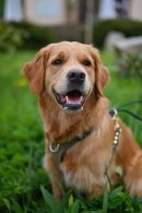 58bf86e8f5feff8b03e9384765786234_130x195_fill