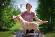 5951e41336cecd51bcbde655d3936b67_195