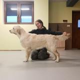 5975e3bac85a904255b92c69d5221556_160x160_fill