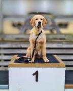 5a20b9134f13282465b2e2ddaefc1b18_144x180_fill