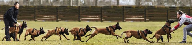 5bda386b7e3880ddffaef7963d7dc3f9_622