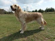 5c05980dd88dbf5f837b1ac3d8fae496_184