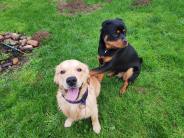 5c059c316bbefb1ca5d076b1f97fd0c3_184x138_fill