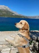 5c3c920f05316ed9d68ff751a4b915f8_138x184_fill