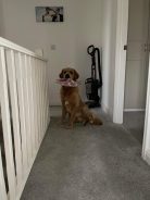 5c6efcff2ef665fdf40bf44ee838288b_138x184_fill