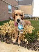 5cb384e190d2b0a78c5193898f4426b1_138x184_fill