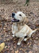 5cc6658441539b4fb92fdf168bf7e74e_138x184_fill