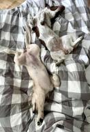 5cef0ad3bf178e313756621f75303cbb_132x193