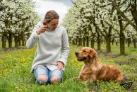 5d083e3ec9632fe2e222e30a0e4f6d7c_194