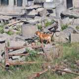 5db2cd26336685bbae3ff20410d96233_160x160_fill