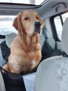 5e047dfe78b57fb925d9a02ba5ebeac5_138x186