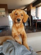 5e1acad814df0e2bd3bb1f0c899b206e_138x184_fill