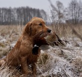 5e365cf45d21df795fffcc6bd9fa3d38_165