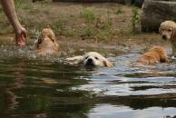 5e79b38cda8dd5aee0364bac2f00e7b1_194