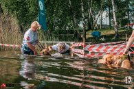 5e85ca0497108ade33f1da0ce1a41a19_195