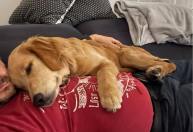 5ee06fee047a272ef41a1d9223f647d8_193