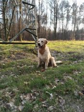 5efc415037ff55b0fa0a2efbdc53dda5_174x231