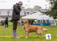 5f11de1475195fa2fc28df0ec3267101_190