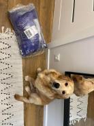 5f1c056d9ddf978ad26bdce22bd13a79_138x184_fill