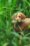 5f4401934c3746cd71d927af08b419b6_130x195