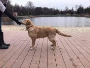 5f56aefa2657f1ee93b57806ef940920_184x138_fill