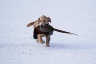 5f755725c7e873da2198a020f3674221_195x130_fill