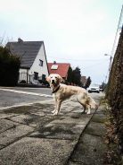 5fdb45bf1f9c5faefaa2ce362ebfa4ac_138x184