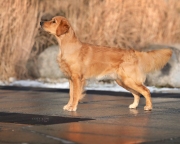 5fe94997ae7a378847a05323fd986bb7_180