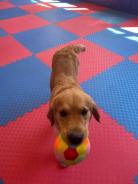 60580c17802c7ab16adf7c0b025526dd_138x184_fill