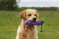 60c069d2d9c3833d669071c64a5ac6f9_194