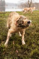 6105a3619e9d2f24877db7316b576339_130x195