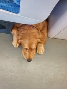 6124c01d92c776f7a42113c0c740c60b_138x184_fill