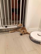 620430ca99f9f144745cd3614e1c926b_138x184_fill