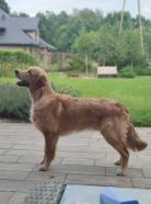 626ac6ce93c36330fbb7b57d090ee5bf_138x186