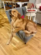 630c73cc1662131d2cdca6cb90e71703_138x184_fill