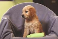 63f0864508799abcef469a7ba93c985b_194