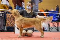 63f72a3ddc6be44e0374e9b6172b846f_195