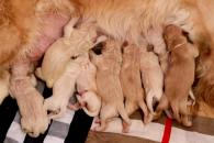 6408fc0b3d2901514e9130e39460ab23_195x130_fill