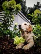 640df9c7793b67d7be99763ea28e7430_138x184_fill