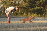 6435e81a1ed55b1747252323f78c13a3_195