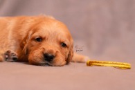 6483bdc60917a6f9168468865f741d33_195x130_fill