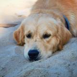 64cb77df9b4c8da523997f979c082d4c_160x160_fill