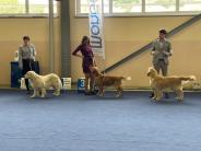 650bda6aabc07e3c4043d1f96f93a5b2_184x138_fill